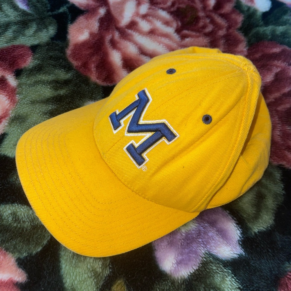 Mens Michigan State Baseball Cap